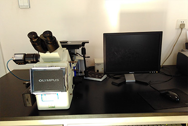 Material organization analyzer